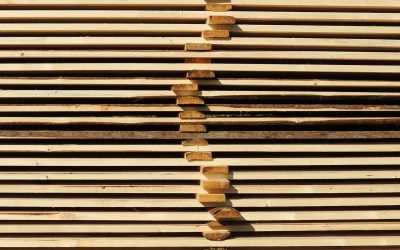 What Causes Lumber to Warp?